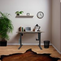 HOME DELUXE Höhenverstellbarer Schreibtisch elektrisch LUMINA mit PC-Halterung - 120 x 60 cm Eiche