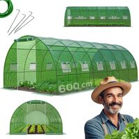 Foliengewächshaus CARINI, Tomatenzelt, winterfest, 6x3x2m, Frühbeet, Pflanzenhaus