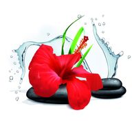 Flexicover Heizkörperverkleidung 60cm x 60cm, Orchidee