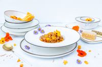Gourmetteller 26 cm, 4-tlg. Weiss mit braunem Rand