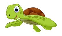 Flexicover Heizkörperverkleidung 60cm x 120cm, Schildkröte