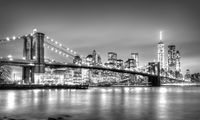 Flexicover Heizkörperverkleidung 60cm x 100cm, New York