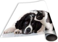 Flexicover Heizkörperverkleidung 60cm x 100cm, Hund & Katze
