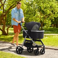 Hundewagen, 2 in 1 Hundetrolley mit Kissen faltbarer Hundebuggy Schwarz