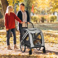 2-in-1 Hundeanhänger &amp; Hundebuggy, Hundefahrradanhänger bis 20 kg, Grau
