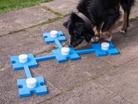 Lemodo Schnüffelset für Hunde