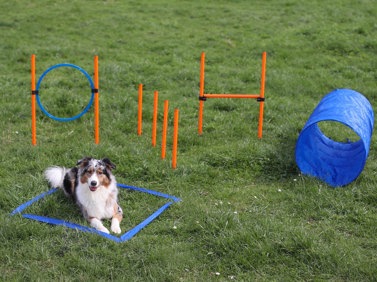 Miniaturansicht des Produkts