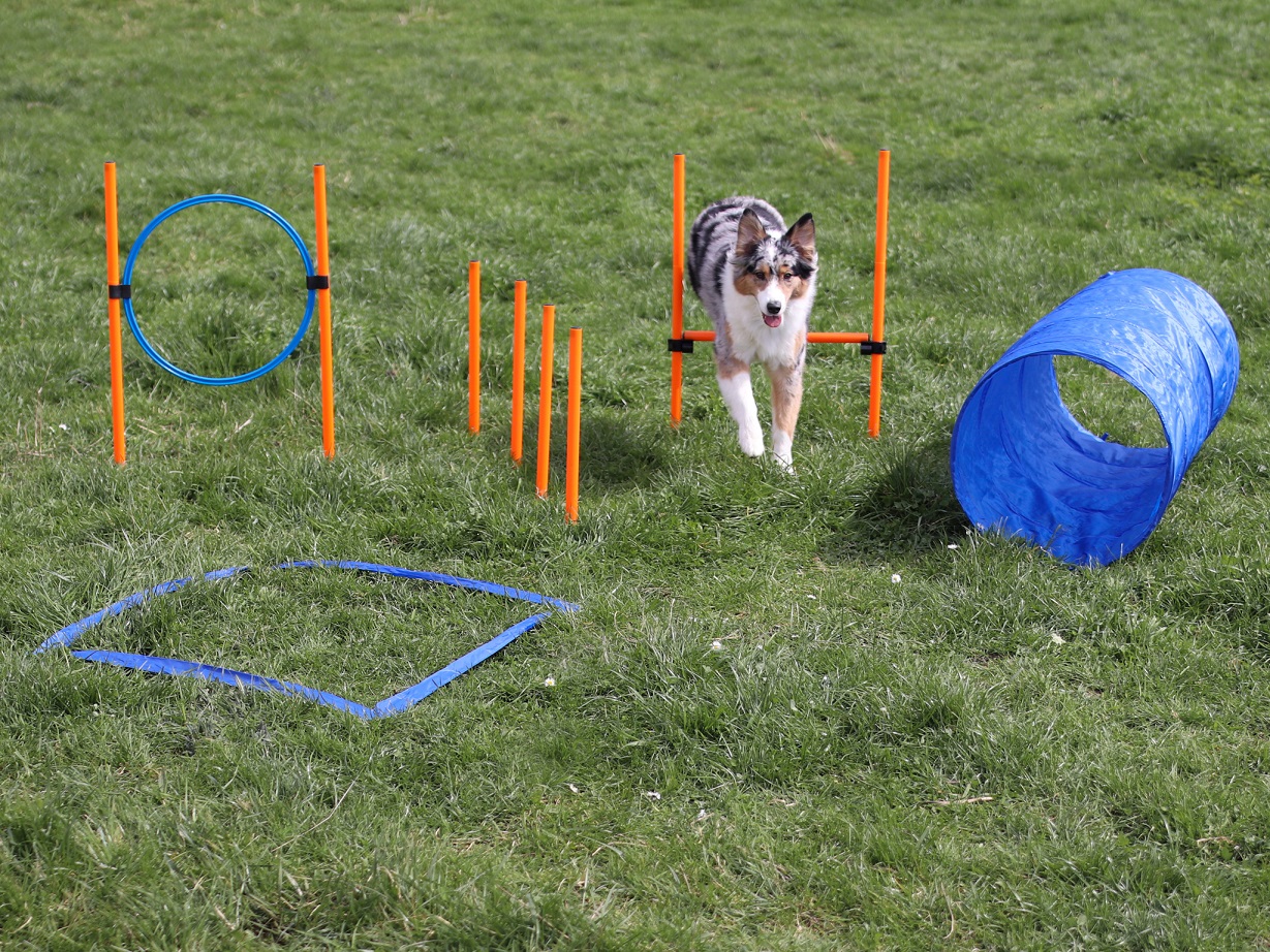 Miniaturansicht des Produkts