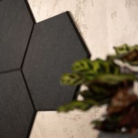 HOME DELUXE Akustikplatten Hexagon selbstklebend SILENT – Schwarz - 20er Set