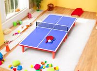 Tischtennisplatte mini 90x40x10cm