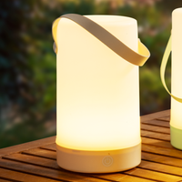 Touch-LED-Leuchte
