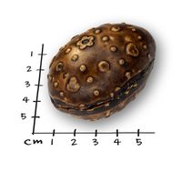 Hunde-Überraschungsei 5 x 60g