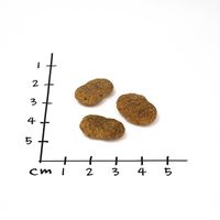 Droppies Dent + 6 x 400g