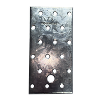 Perforierte Lochplatte 60 x 120 x 2,0 mm
