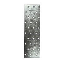 Perforierte Lochplatte 200 x 60 x 2,0 mm