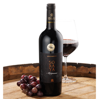 Appassimento Puglia IGP 0,75l