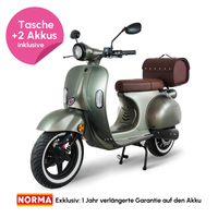 45er E-Roller inkl. 2 Akkus + Helmtasche - Army Green matt