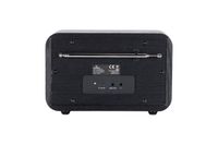 DAB Radio & Farbdisplay DR 300