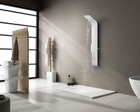 Edelstahl Duschpaneel mit Regendusche & Massagedüsen 160x22cm