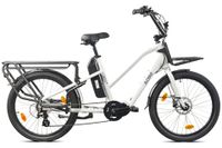 Cargo City E-Bike Cargado