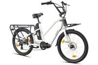 Cargo City E-Bike Cargado
