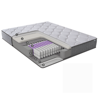 ARGAFORM 90x200 Hybrid Taschenfederkernmatratze, 25 cm Hoch, 5-Zonen Federkernmatratze