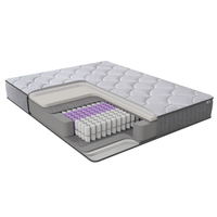 ARGAFORM 90x200 Hybrid Taschenfederkernmatratze, 25 cm Hoch, 5-Zonen Federkernmatratze