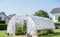 Tunnelgewächshaus, ca. 600 x 300 x 200 cm