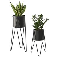 Pflanzständer - Hedera - Schwarz