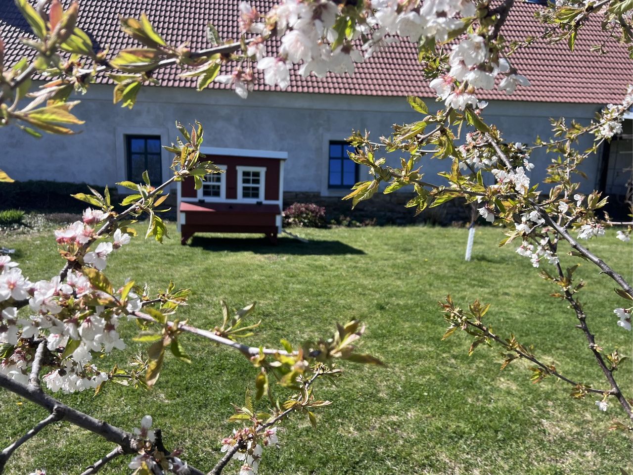 Miniaturansicht des Produkts