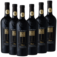 Primitivo Puglia IGT da uve Leggermente Appassite 2024