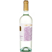Chardonnay Veneto IGT 0,75 l
