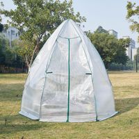 Gewächshaus Hunze 200x240cm Weiß