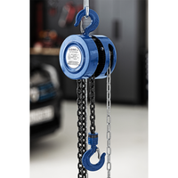 Kettenzug mit 1 T Tragkraft, Hubhöhe 3 m 