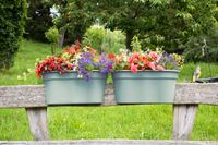 KHW Geländerblumentopf Flowerclip XL, 2er Set, mintgrün