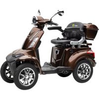 BENNI 4.0 - 25 KM/H Blei Braun