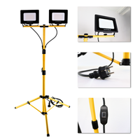LED Baustrahler mit Teleskop-Stativ, 2x 30 W, 4000 K (neutralweiß)