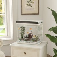 26 Liter Aquarium mit Filter, LED-Beleuchtung, Wasserpumpe, ca. 38 x 26 x 38 cm