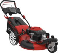 Güde Rasenmäher BIG WHEELER 554.1 R TRIKE