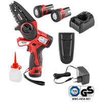 12 V Li-Ion Akku Entaster Brushles inkl. 2 Akkus