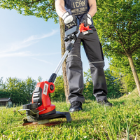 3in1 Li-Ion Rasentrimmer 20V