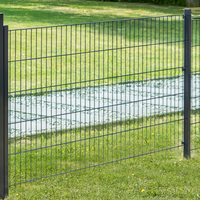 Doppelstabmattenzaun Komplett-Set, ca. 123 cm x 10 m - Anthrazit