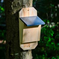 dobar Fledermauskasten "Microchiroptera", Anthrazit, 19x15,5x40 cm