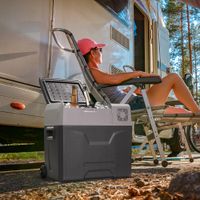 Kühlbox Auto 50L mit Kompressor Autokühlschrank elektrisch Camper Reisen Grau