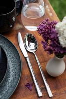 Serie IVY, Besteck-Set, Edelstahl Besteck-Set für 6 Personen, Silber