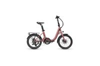 COAST JIFO light 7S - Rose