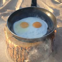 X4-LIFE Eco Grill XL