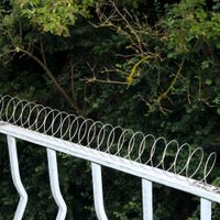 Gardigo Tauben-Abweiser Spirale 5 m