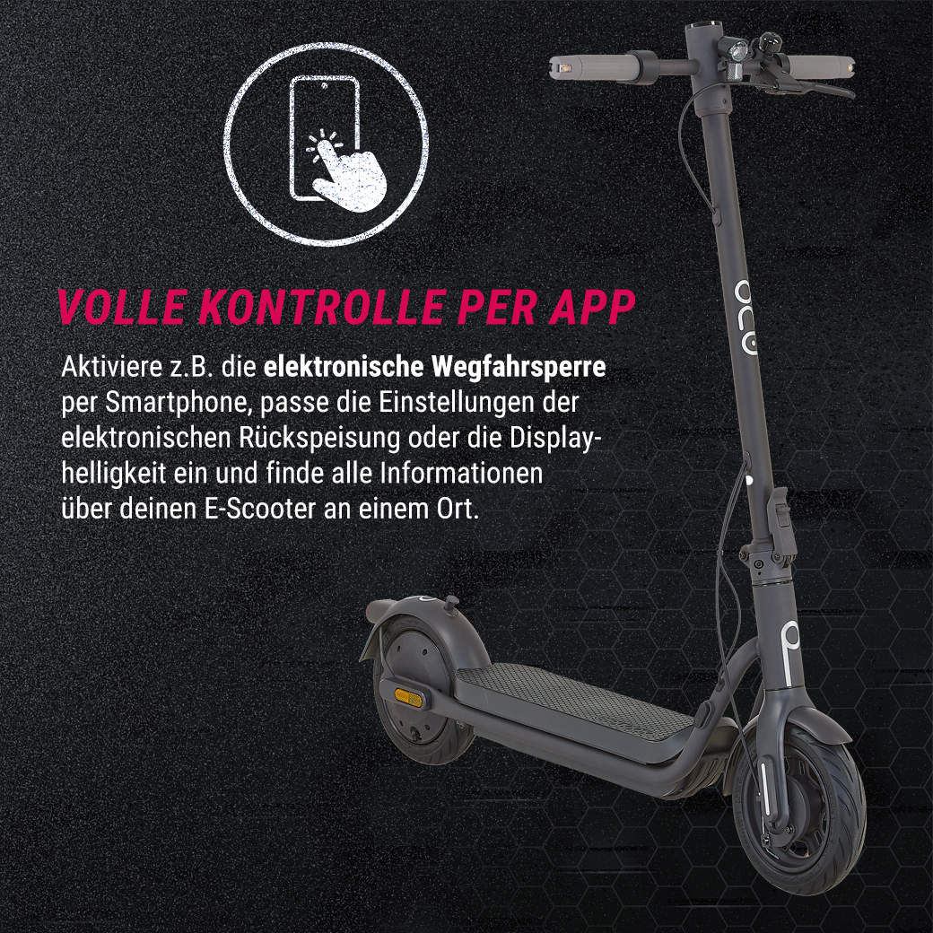 Miniaturansicht des Produkts