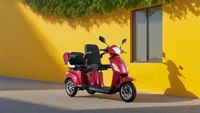E-Seniorenmobil T409-1, 3-Rad, 1000 Watt, 2 Sitzer